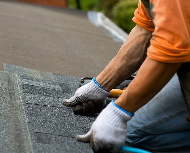 Roof Gutter Cleaning in Sunny Isles Beach, FL